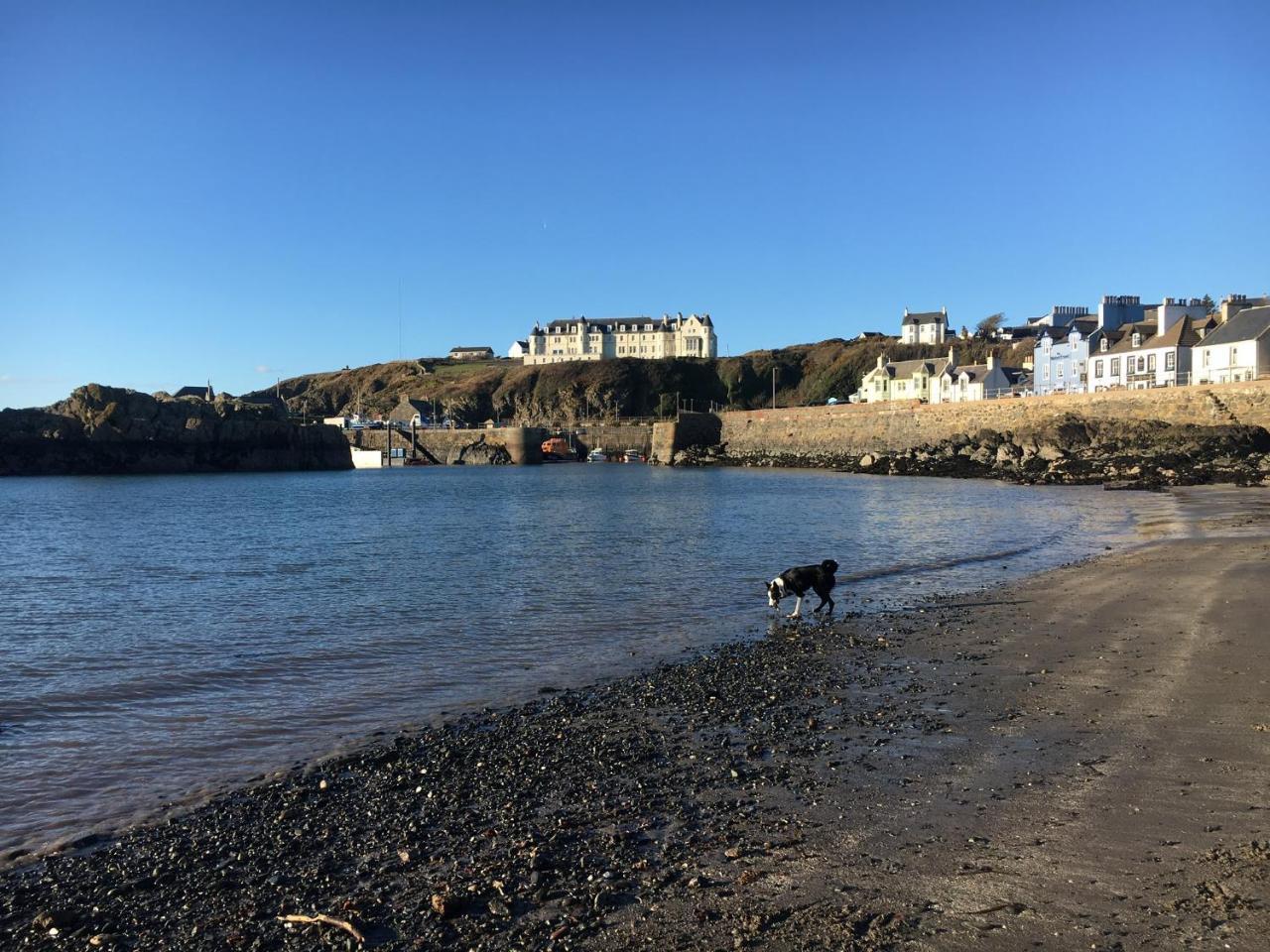 Drumcuan Bed & Breakfast Stranraer Eksteriør bilde